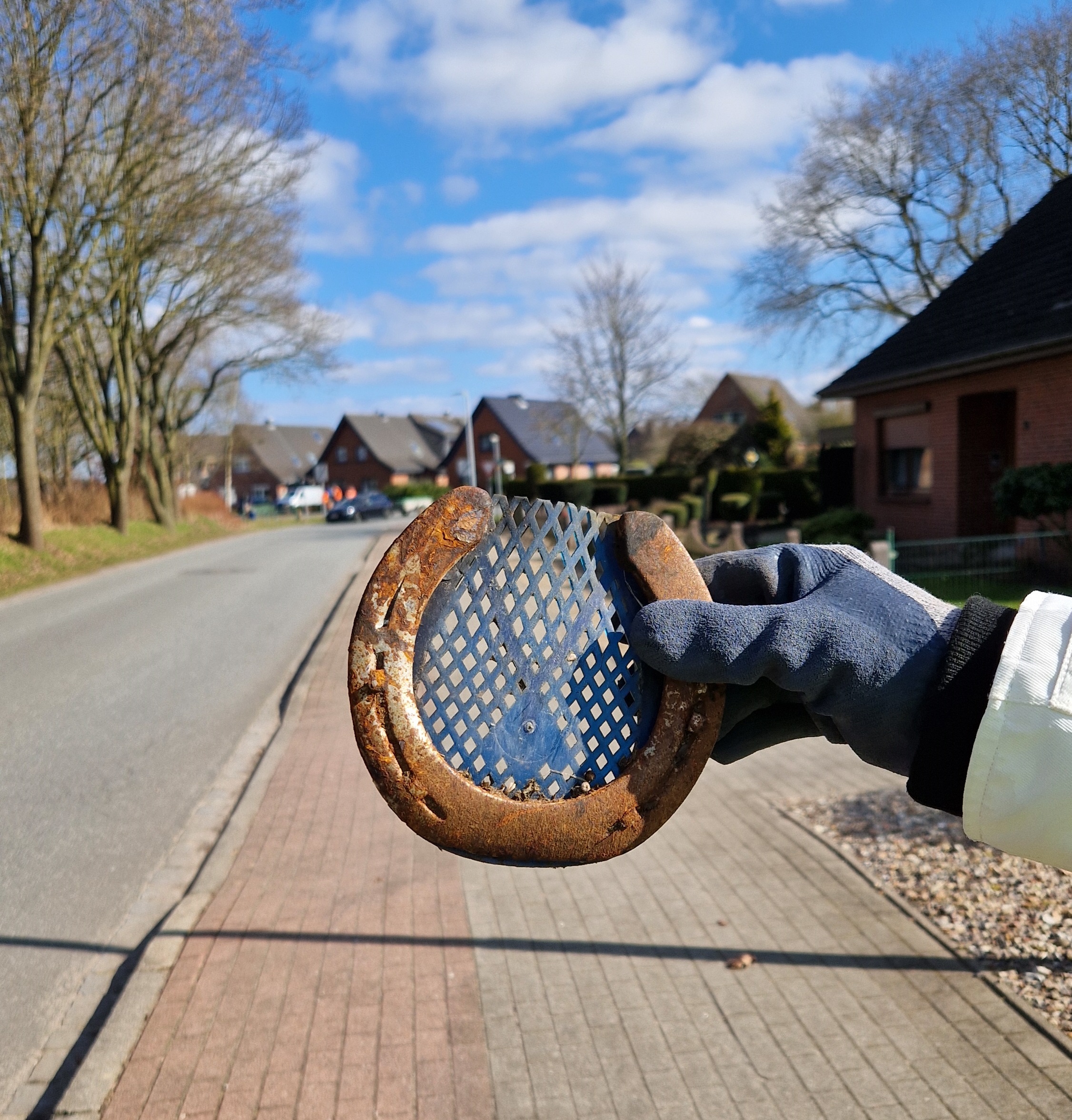 Mehr über den Artikel erfahren Glück gehabt … | Aktion „Sauberes Schleswig-Holstein“